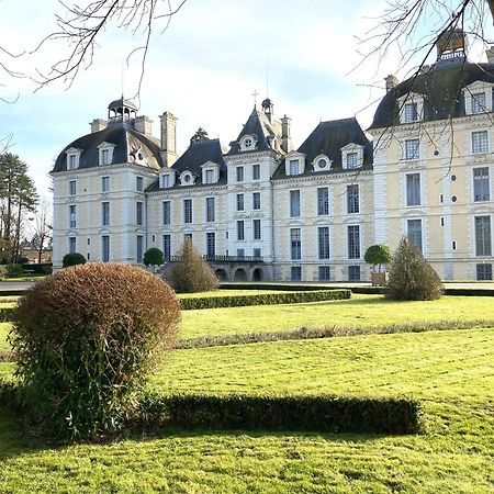 Villa Family Loft A 5Minutes Du Zooparc De Beauval Châteauvieux Esterno foto