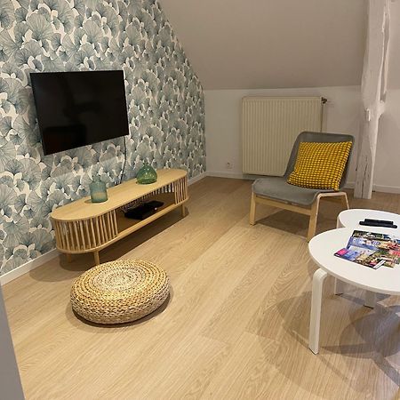 Villa Family Loft A 5Minutes Du Zooparc De Beauval Châteauvieux Esterno foto