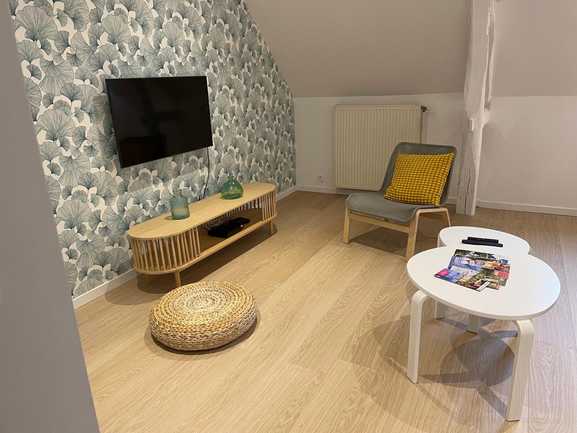 Villa Family Loft A 5Minutes Du Zooparc De Beauval Châteauvieux Esterno foto